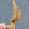 Brunei Kynam Soil