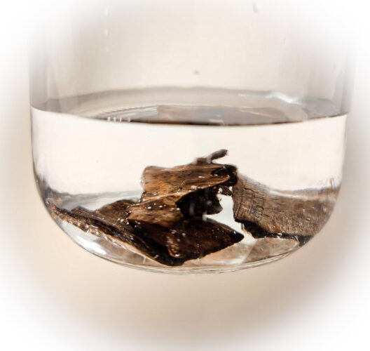 Sinking Philippines Agarwood